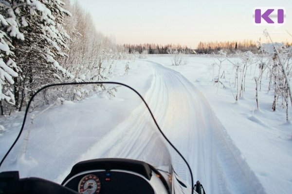 В Воркуте снегоход провалился в полынью 