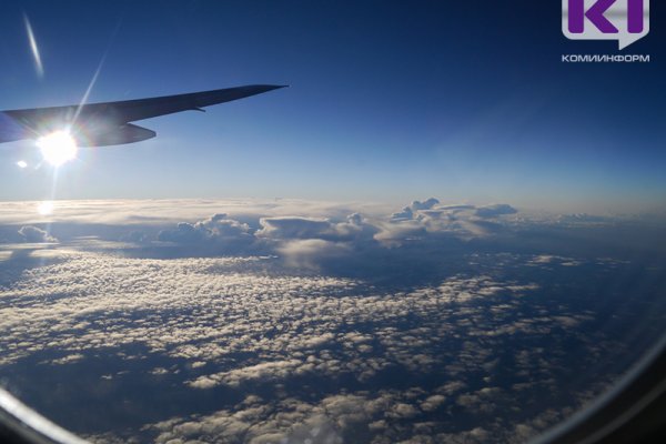 Российские авиакомпании приземлили треть авиапарка

