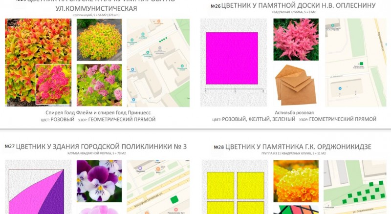 На оформление цветников власти Сыктывкара готовы потратить 9 млн рублей  