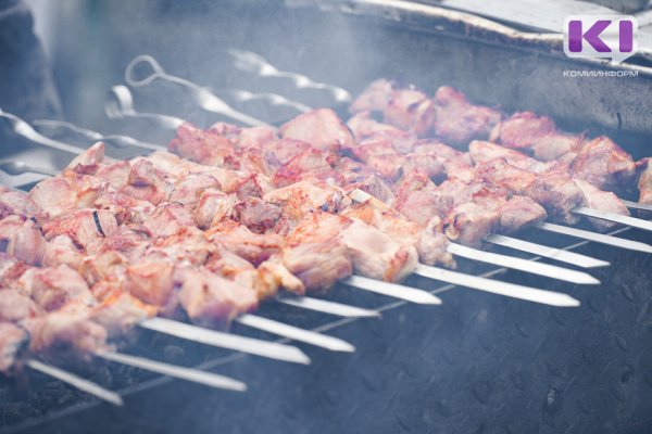 Россиянам разъяснили, где законно можно пожарить шашлык на майских праздниках

