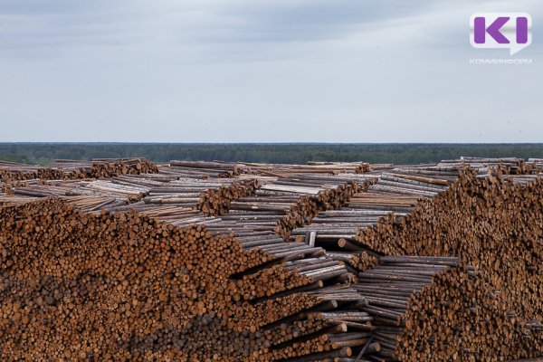 Лесопромышленникам Коми предложили отправлять продукцию в Азию через Архангельск