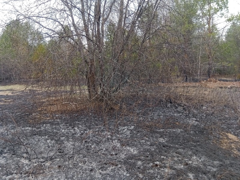 Сотрудники Коми лесопожарного центра потушили первые лесные пожары в Койгородском районе

