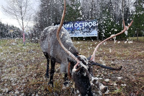 Куда сходить на выходные в Коми