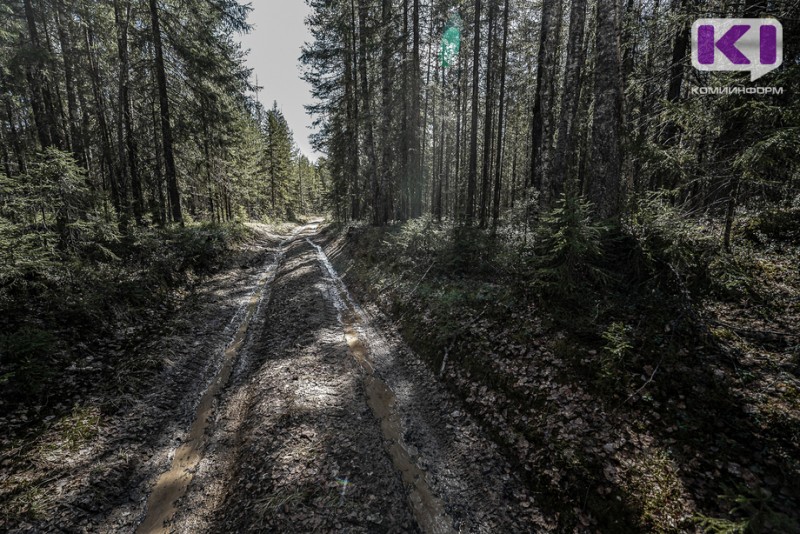 Жители Коми выявили нарушения при строительстве лесовозной дороги в заказнике "Пучкомский"