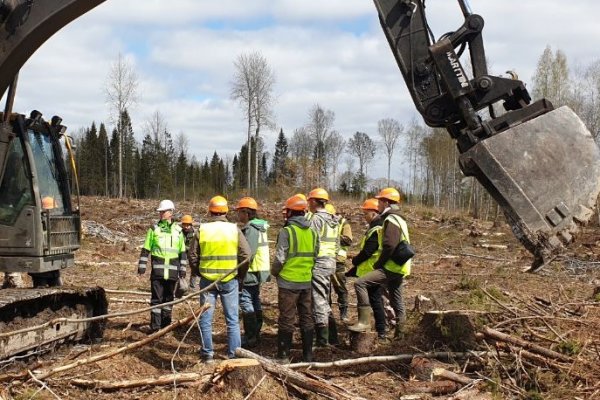 Специалисты СЛДК изучили инновационные методы лесовосстановления  

