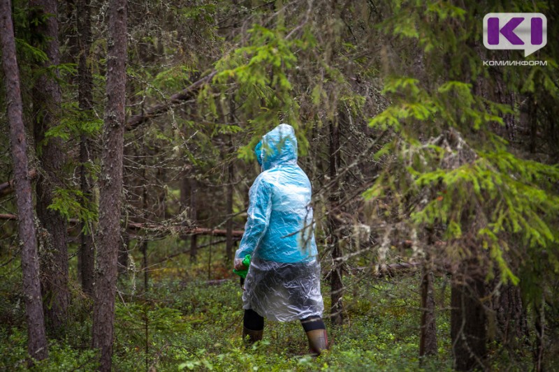 "Спас-Коми" эвакуировали из леса 70-летнюю ухтинку с переломом ноги 