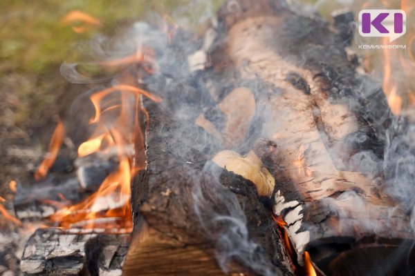 В Коми горят леса на площади 17 гектаров