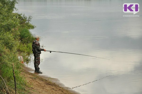 В Усть-Куломском районе рыбак угнал иномарку приятеля, пока тот ловил рыбу 