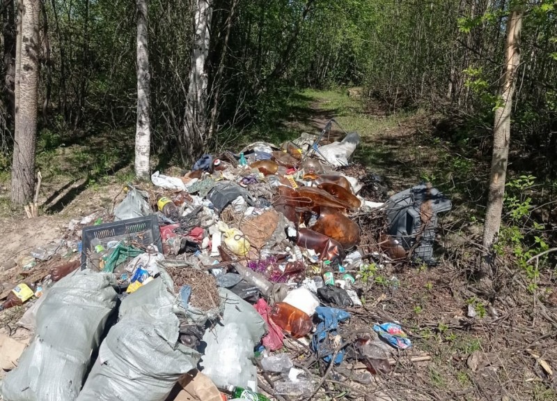 Решаем вместе: администрация Печоры помогла экологам вывезти мусор после субботников
