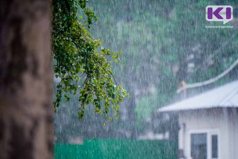 Погода в Коми 25 июня: небольшой дождь, ветер, днем +9...+14°С