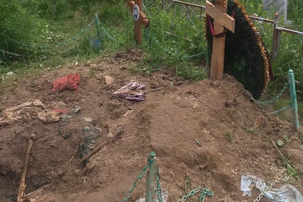 Жители Ухты сообщают о медведе на кладбище 