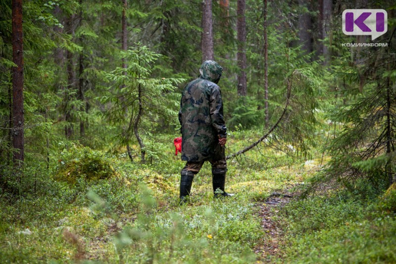 В Усть-Куломском районе в лесу потерялись женщина с ребенком