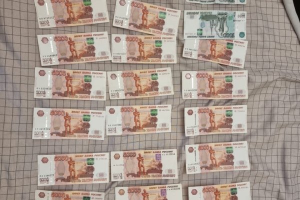 В Сыктывкаре задержаны подозреваемые в серии мошенничеств в отношении пенсионеров