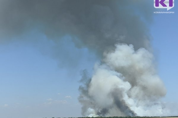 Почти половина действующих лесных пожаров в Коми зафиксированы в Усть-Цилемском районе