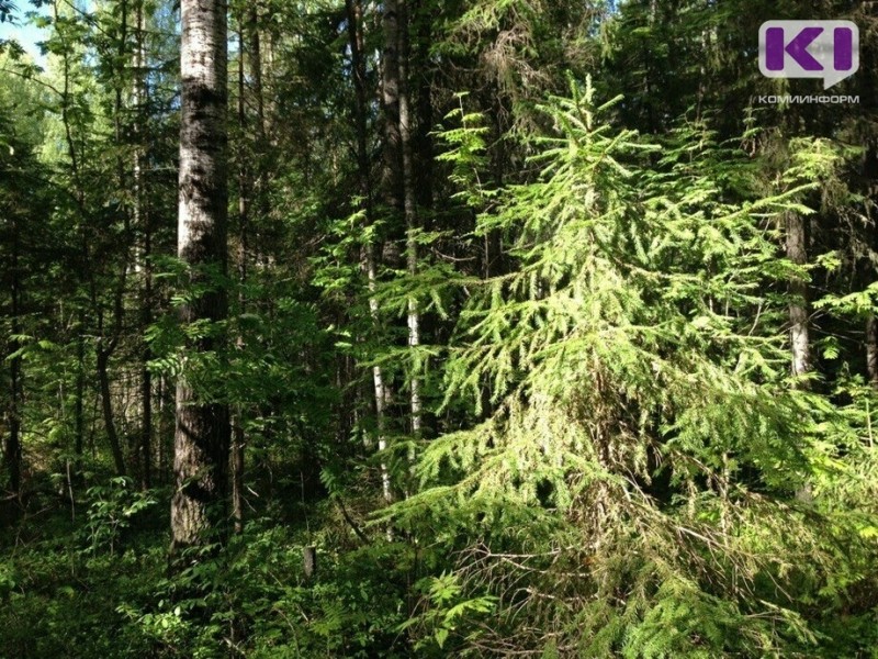 В лесах Коми отменён режим чрезвычайной ситуации