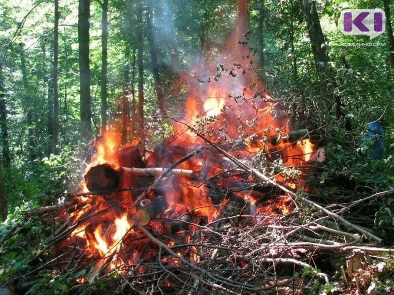 В Коми действуют 17 лесных пожаров