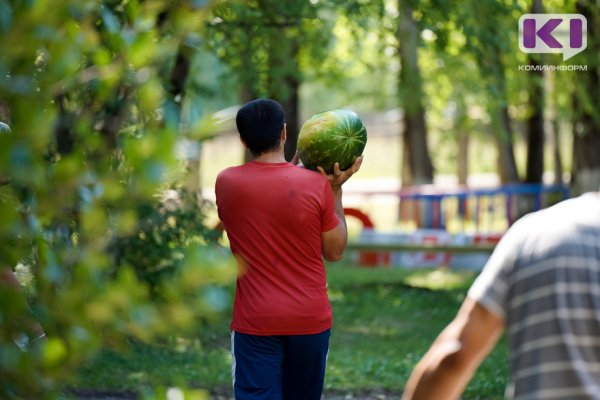 В Сыктывкаре местные жители украли половинку арбуза и попали в объектив камеры видеонаблюдения