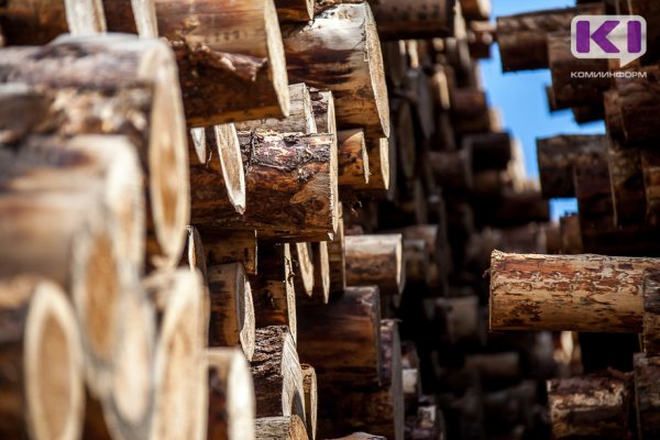 Производство лесоматериалов в Коми за год снизилось почти на четверть