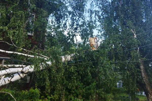 В Лесозаводе сыктывкарцы остались без электроснабжения после шторма
