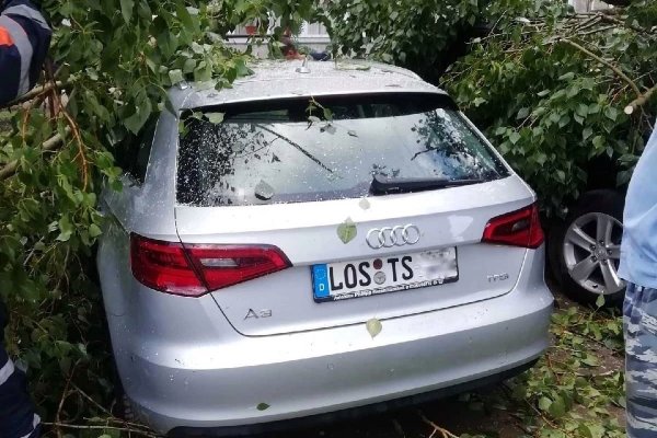 В Сыктывкаре дерево придавило автомобиль с немецкими номерами 