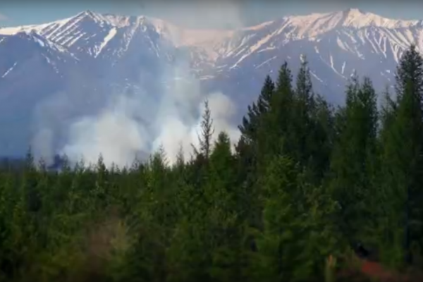 В Коми горят леса на площади 9,5 тысяч гектаров
