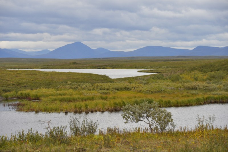 В Усинске оформляется земельный участок для разведения аквакультуры по программе "Гектар в Арктике"