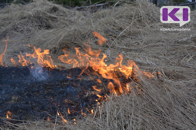В Коми локализовано 9 лесных пожаров из 19