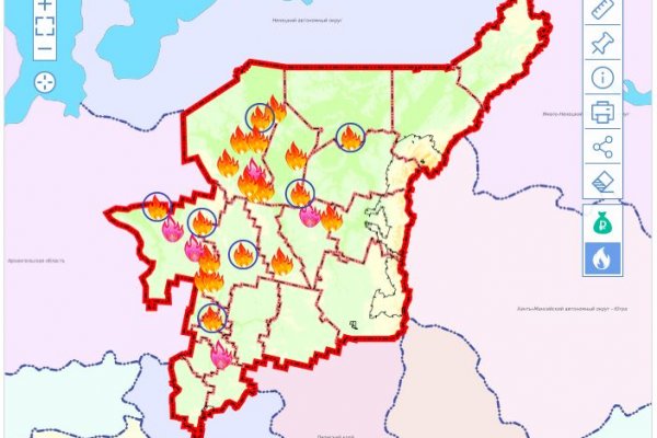 В Коми действуют 25 лесных пожаров 