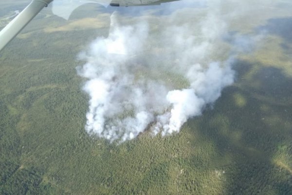 Аукцион на тушение лесных пожаров в Коми выиграл Единый лесопожарный центр Архангельской области
