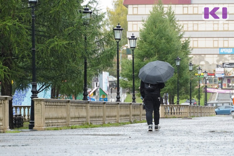 Погода в Коми 10 августа: на юге - дождь и гроза, на севере - без осадков