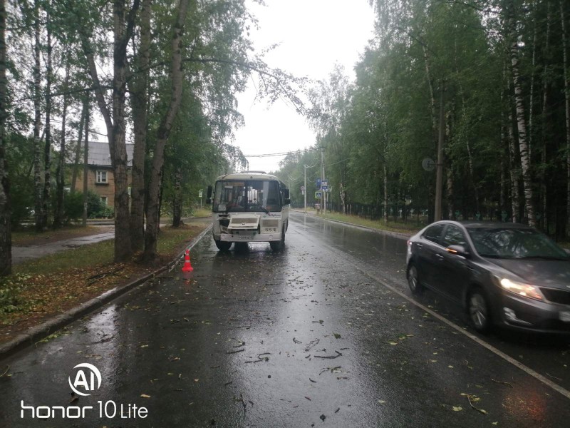 В Сыктывкаре водитель маршрутного ПАЗа снес дерево, пассажирка получила травмы