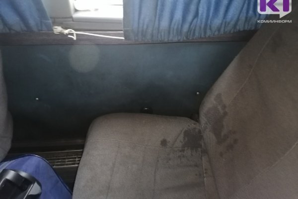 Пассажиры рейсового автобуса по маршруту Сыктывкар - Микунь невольно приняли 