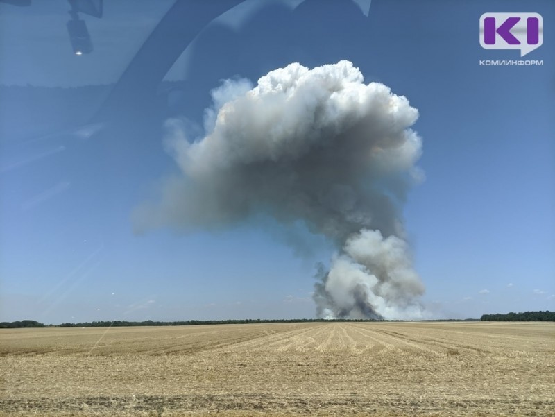 В Коми вспыхнул лесной пожар на границе Усинского и Интинского района