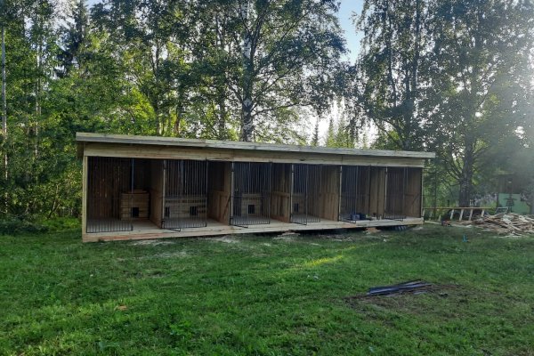 В Троицко-Печорском районе началось строительство вольеров для бездомных животных