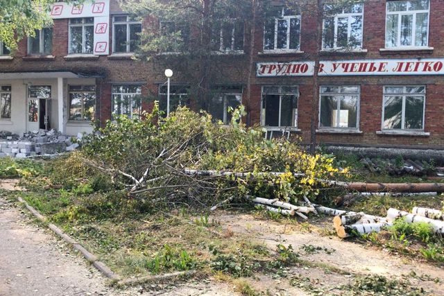 Рубка деревьев у ДОСААФ не была согласована с администрацией Сыктывкара