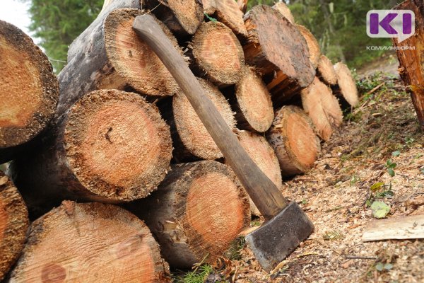 В с.Окунёв Нос Усть-Цилемского района населению разрешат заготовку дров на особо охраняемых природных территориях