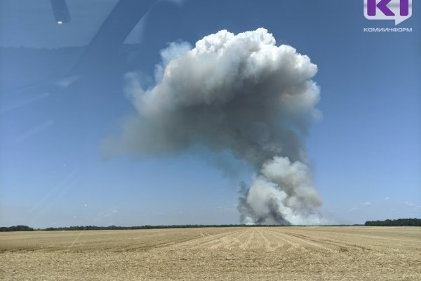 В Усть-Цилемском районе из-за подхода лесного пожара к деревне вертолет срочно доставил пожарных к месту возгорания