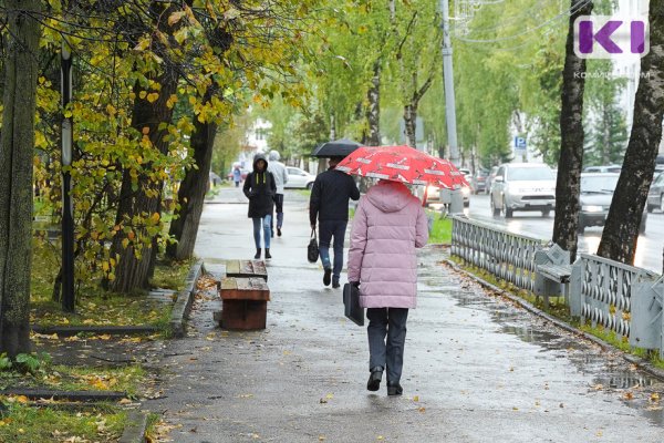 Погода в Коми 10 сентября: небольшой дождь, +6...+11°С