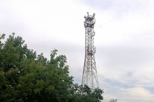 МТС обеспечила высокоскоростным интернетом первую в мире лосеферму в поселке Якша

