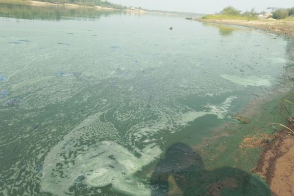 Росприроднадзор назвал природное явление на озере Выльты гиперцветением водорослей 