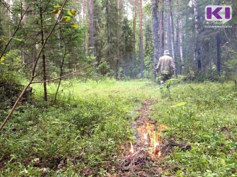 В лесу Сыктывдинскго района пропал мужчина