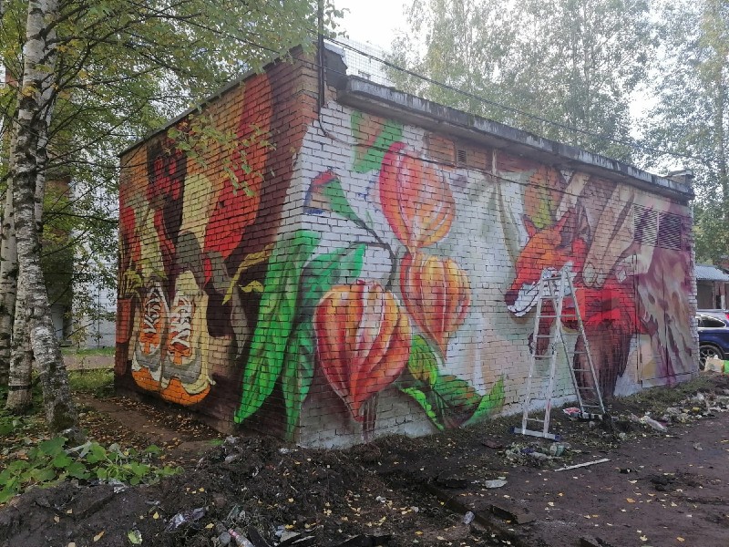 Сыктывкарский стрит-арт художник преобразил здание подстанции в городе