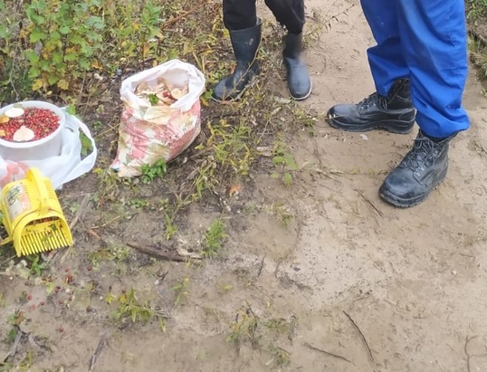 В Прилузье спасатели вывели женщину из леса 