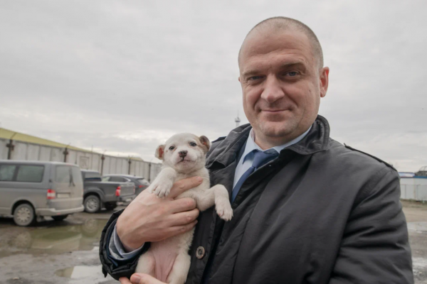 Усинск поделился опытом заботы о бездомных животных

