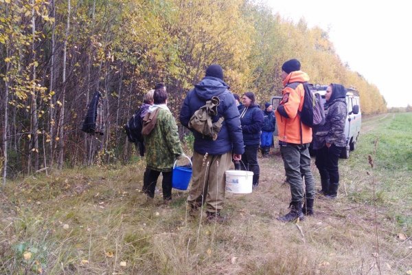 В лесах под Сыктывкаром потерялись трое грибников