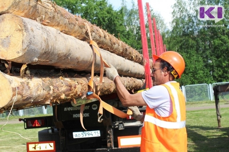 На развитие лесного хозяйства в Коми тратят в 3 раза меньше денег, чем приносят леса  