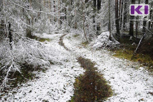 Погода в Коми 21 октября: снег, в Печорском и Вуктыльском районах сильный