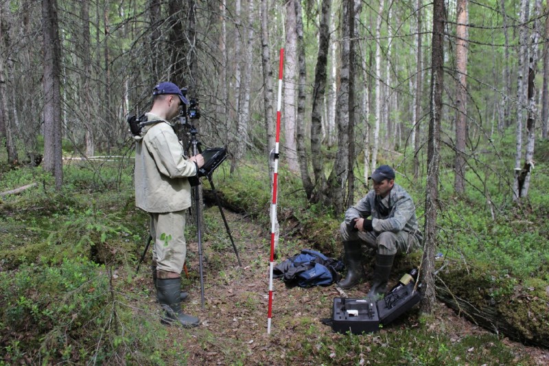 Специалисты Рослесинфорга оценят качество и количество лесов Республики Коми