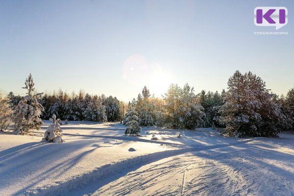 В Сыктывкаре утвердили схему лыжных трасс 2022
