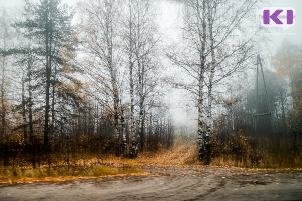 Погода в Коми 4 ноября: небольшие осадки, местами туман